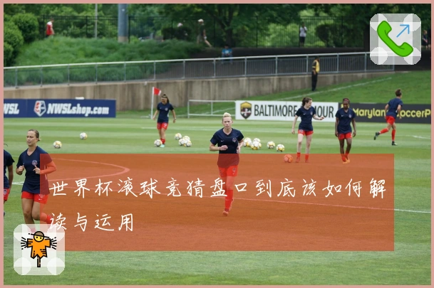 世界杯滚球竞猜盘口到底该如何解读与运用